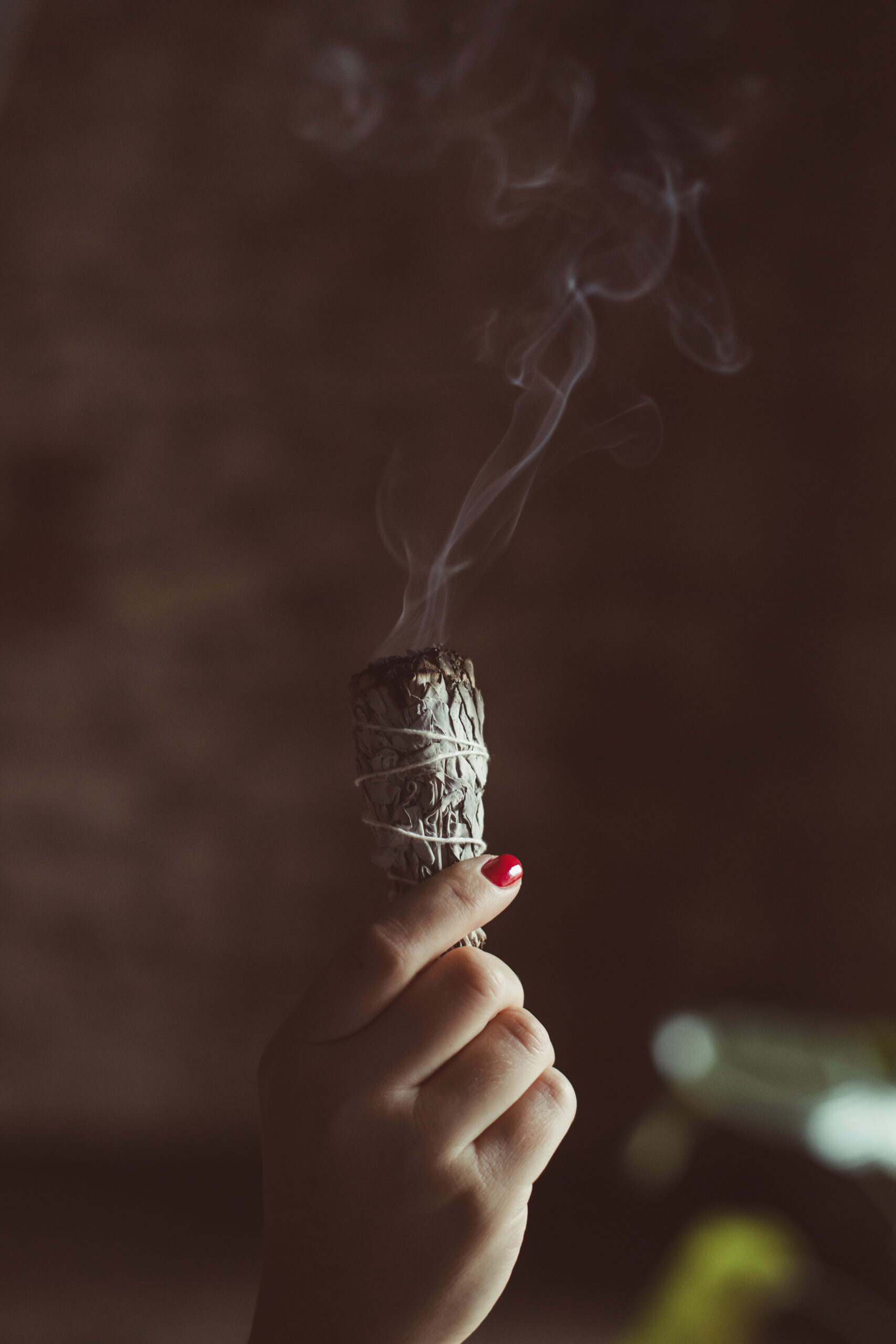 Szałwia Biała - obrazek 2