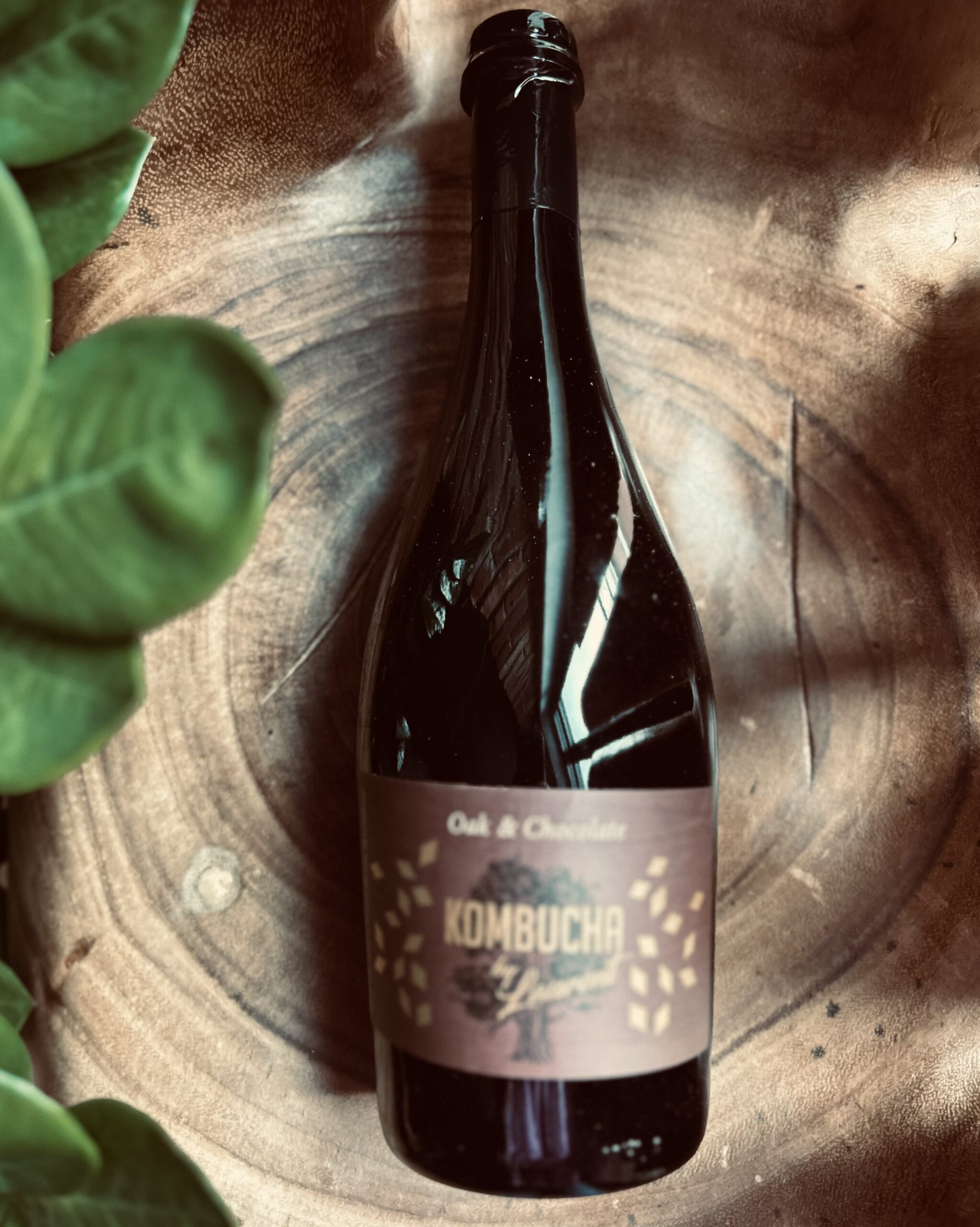 Kombucha Oak & Chocolate