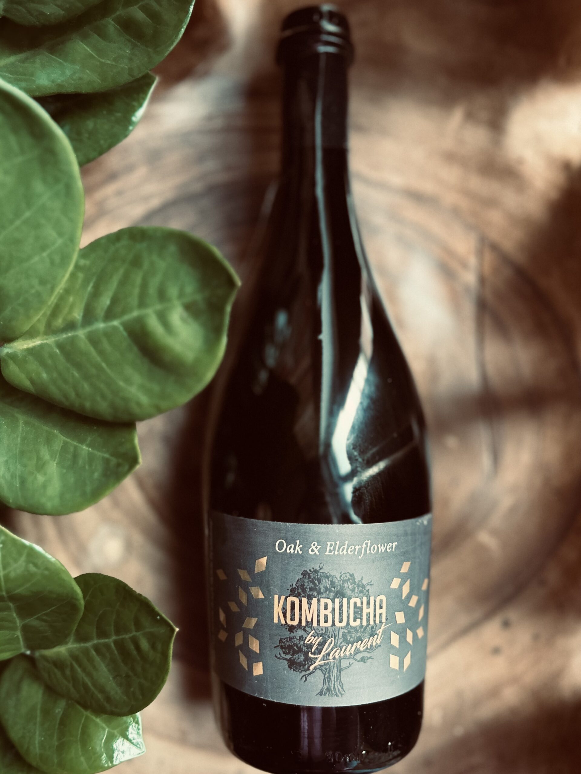 Kombucha Oak & Elderflower